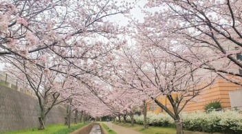 ご来店お待ちしてます！